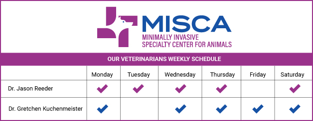 Veterinarian Schedule for MISCA