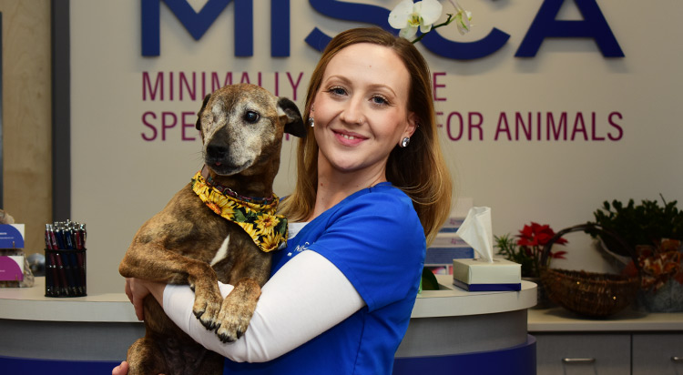Meet Richey at the Minimally Invasive Specialty Center for Animals